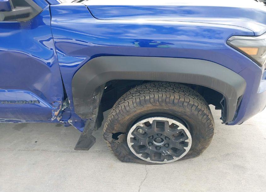 Photo 6 of 2024 Toyota Tacoma TRD OFF ROAD (VIN 3TMLB5JN1RM021397)