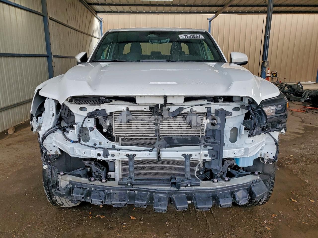 Photo 5 of 2024 TOYOTA TACOMA DOUBLE CAB (VIN 3TMLB5JN2RM036734)