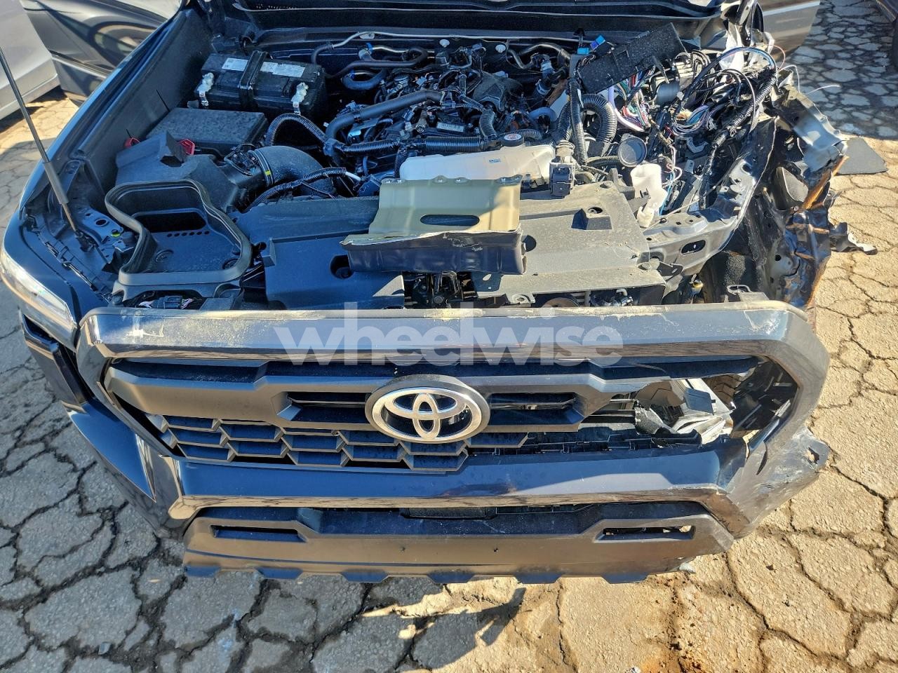 Photo 11 of 2025 TOYOTA TACOMA DOUBLE CAB (VIN 3TMLB5JN6SM133893)