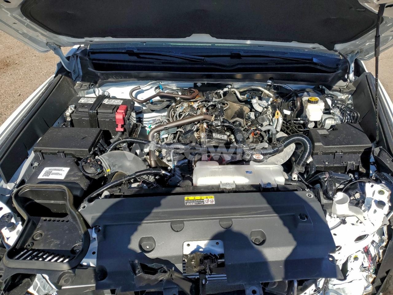 Photo 11 of 2024 TOYOTA TACOMA DOUBLE CAB (VIN 3TMLB5JN7RM059216)