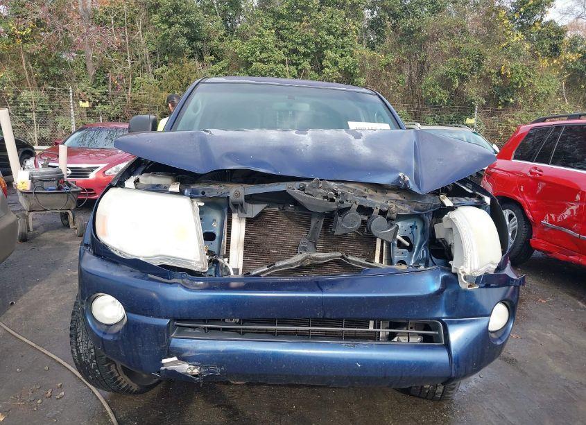 Photo 12 of 2006 Toyota Tacoma BASE V6 (VIN 3TMLU42N16M003660)