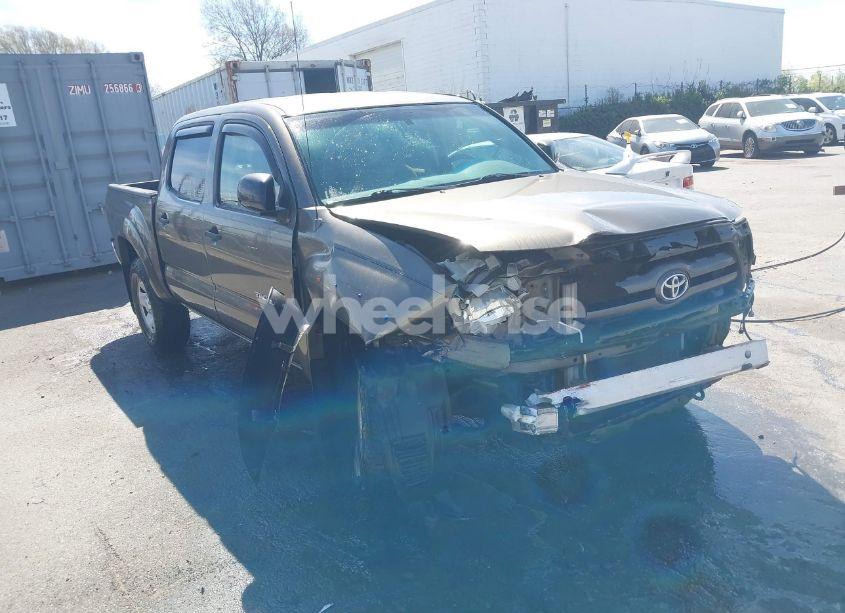 2009 Toyota Tacoma BASE V6 (VIN 3TMLU42N19M024223) main photo