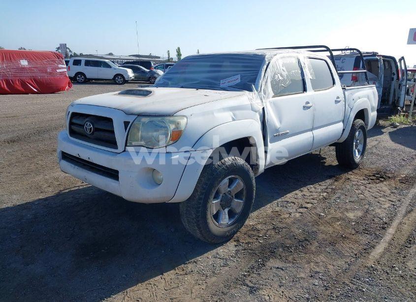 Photo 2 of 2008 Toyota Tacoma BASE V6 (VIN 3TMLU42N28M019658)
