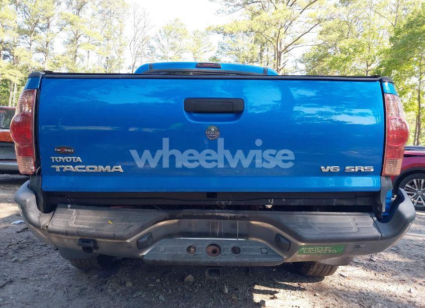 Photo 6 of 2006 Toyota Tacoma BASE V6 (VIN 3TMLU42N36M006754)
