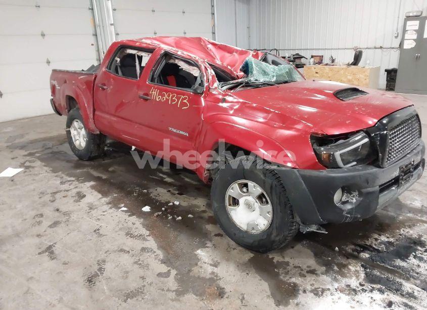 2009 Toyota Tacoma BASE V6 (VIN 3TMLU42N39M033523) main photo