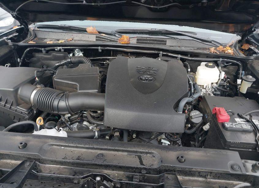 Photo 10 of 2023 Toyota Tacoma TRD OFF ROAD (VIN 3TYCZ5AN9PT125648)