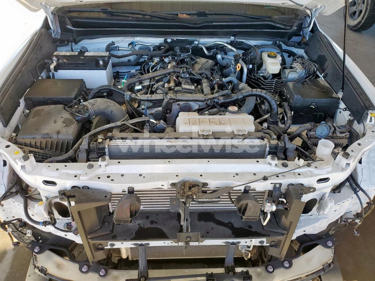 Photo 11 of 2024 TOYOTA TACOMA DOUBLE CAB (VIN 3TYKB5FN7RT012485)