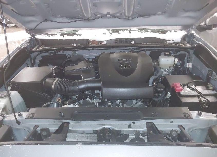 Photo 10 of 2021 Toyota Tacoma TRD OFF-ROAD (VIN 3TYSZ5AN1MT017046)