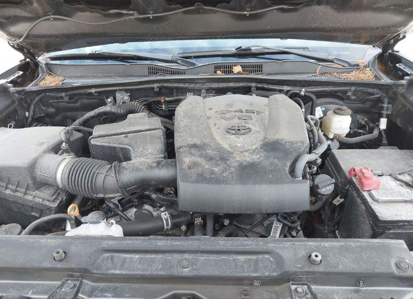 Photo 10 of 2021 Toyota Tacoma TRD SPORT (VIN 3TYSZ5AN2MT013572)