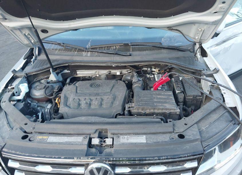Photo 10 of 2019 Volkswagen Tiguan 2.0T S (VIN 3VV0B7AX7KM040009)