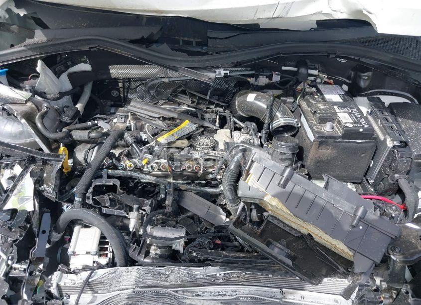 Photo 10 of 2024 Volkswagen Tiguan 2.0T WOLFSBURG EDITION (VIN 3VV5B7AX0RM231755)