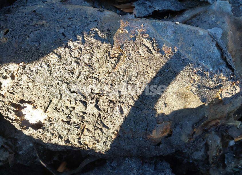 Photo 7 of 2019 Volkswagen Jetta GLI 2.0T 35TH ANNIVERSARY EDITION/2.0T AUTOBAHN/2.0T S (VIN 3VW5T7BU3KM150090)