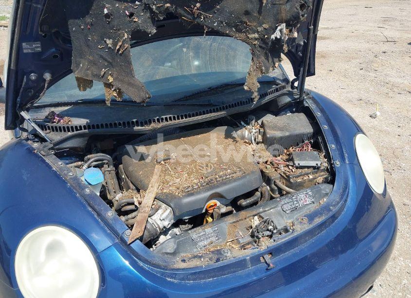 Photo 12 of 2005 Volkswagen New BEETLE GLS 1.8T (VIN 3VWCD31Y95M300662)