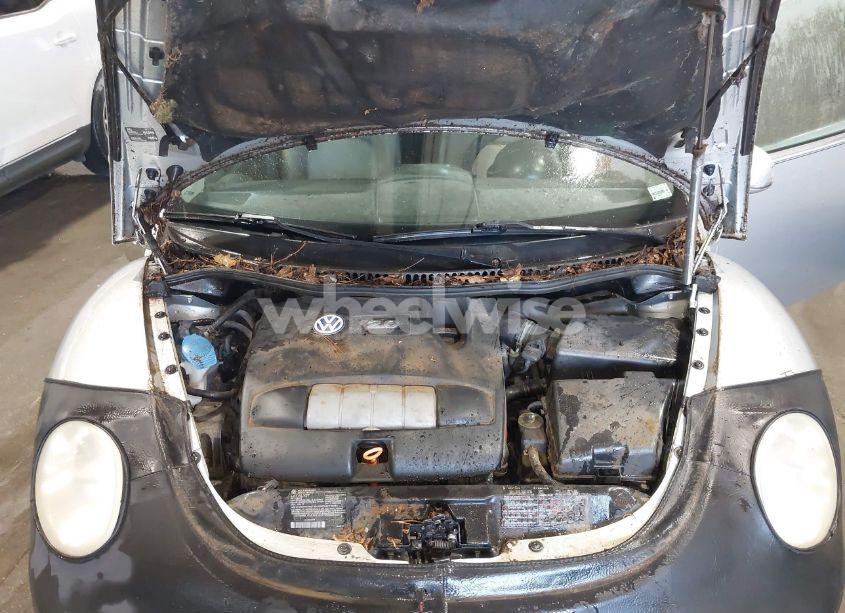 Photo 10 of 2003 Volkswagen New BEETLE GLS (VIN 3VWCK21Y53M311932)