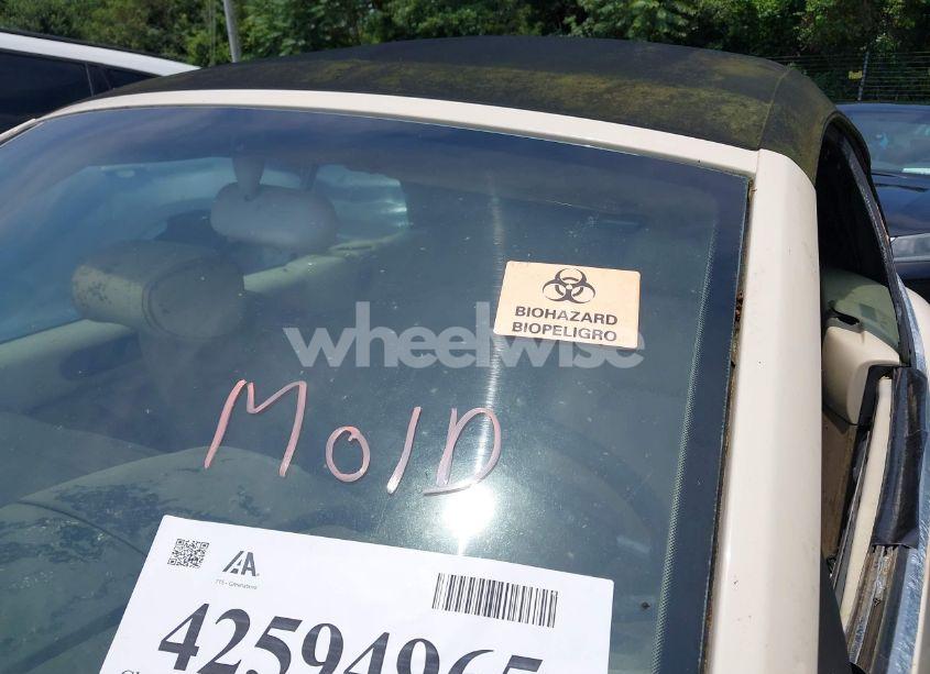 Photo 6 of 2003 Volkswagen New BEETLE GLS (VIN 3VWCK21Y53M312675)