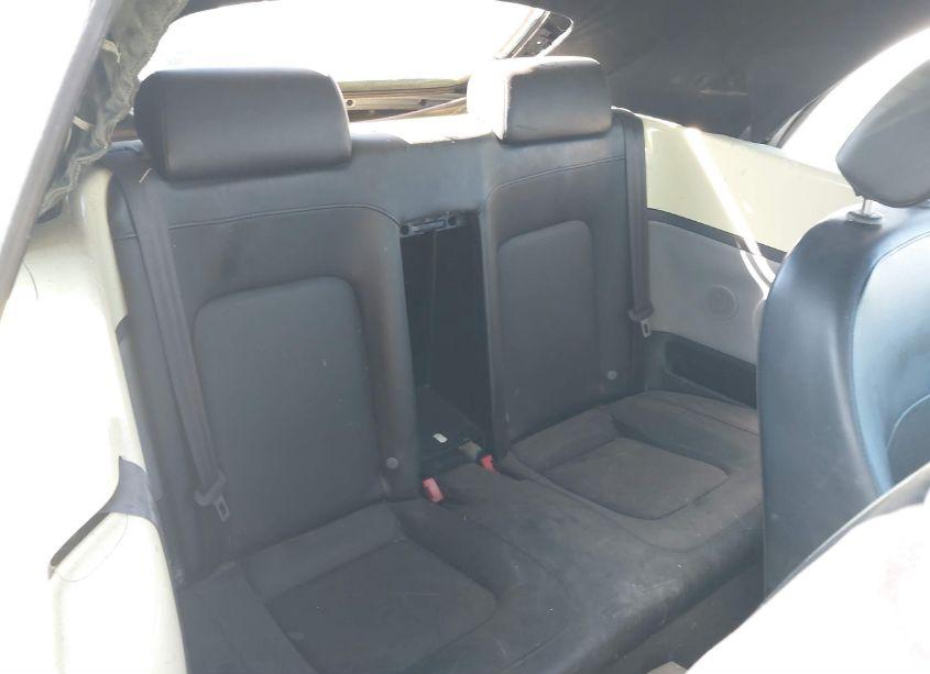 Photo 8 of 2005 Volkswagen New BEETLE GLS (VIN 3VWCM31Y35M300429)