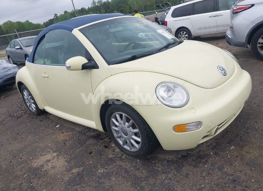 2005 Volkswagen New BEETLE GLS (VIN 3VWCM31Y55M312503) main photo