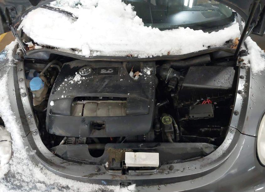 Photo 10 of 2004 Volkswagen New BEETLE GLS (VIN 3VWCM31Y64M320432)