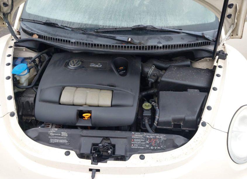 Photo 10 of 2004 Volkswagen New BEETLE GLS (VIN 3VWCM31Y64M343659)