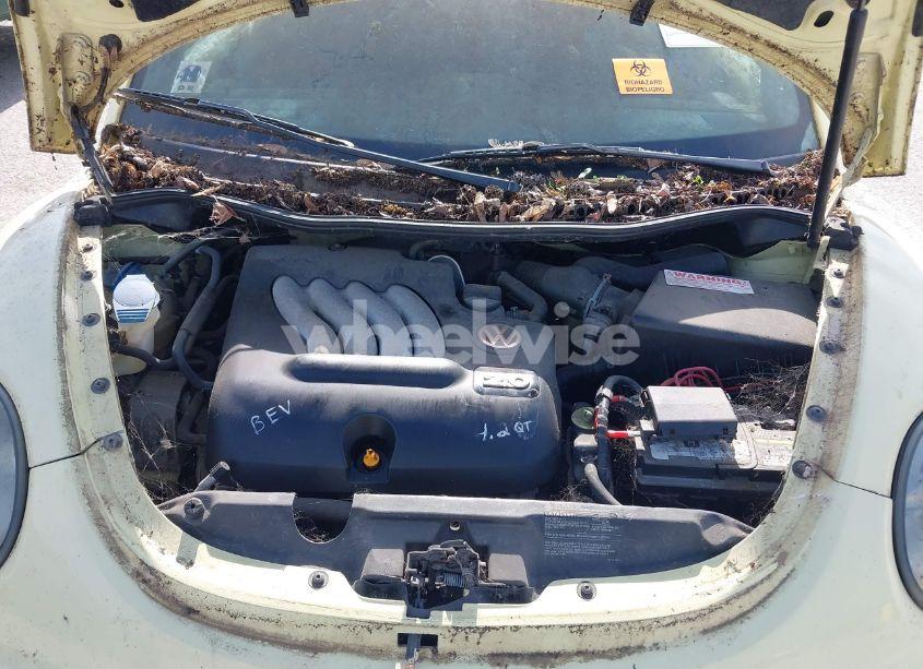 Photo 10 of 2005 Volkswagen New BEETLE GLS (VIN 3VWCM31YX5M315011)