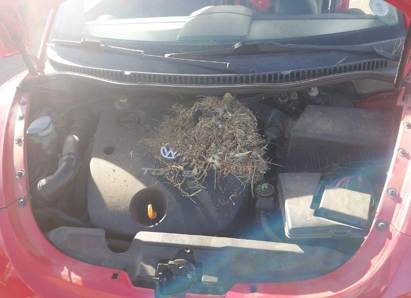 Photo 10 of 2001 Volkswagen New BEETLE GLS TDI (VIN 3VWCP21C91M481536)