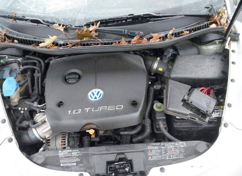 Photo 10 of 2001 Volkswagen New BEETLE GLX (VIN 3VWDD21C11M424969)