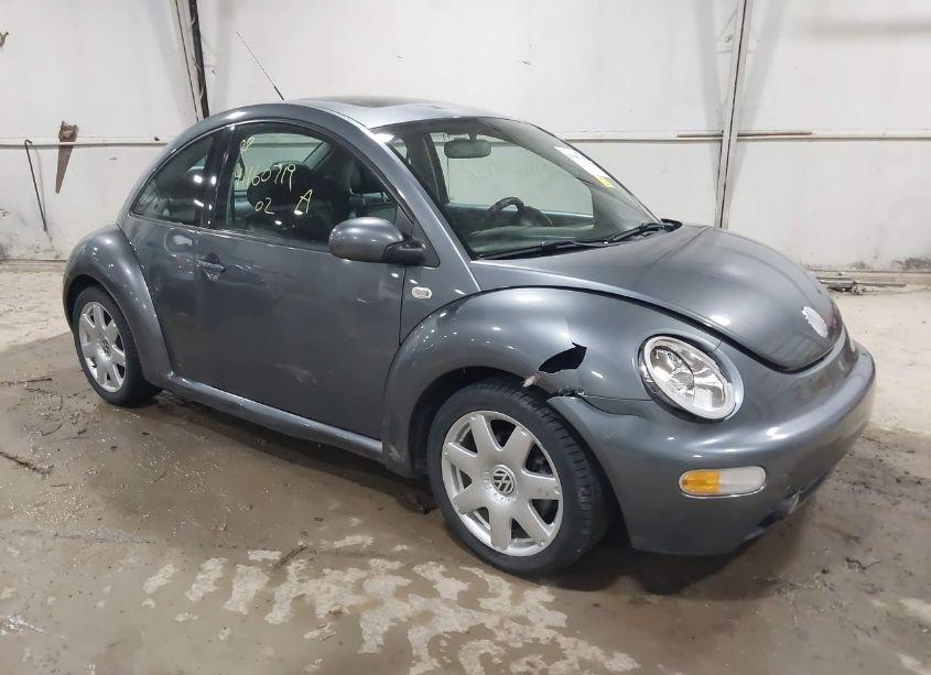 2002 Volkswagen New BEETLE GLX (VIN 3VWDD21C22M461160) main photo