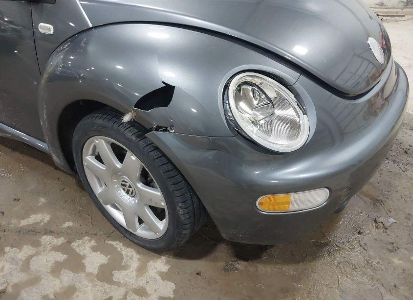 Photo 6 of 2002 Volkswagen New BEETLE GLX (VIN 3VWDD21C22M461160)