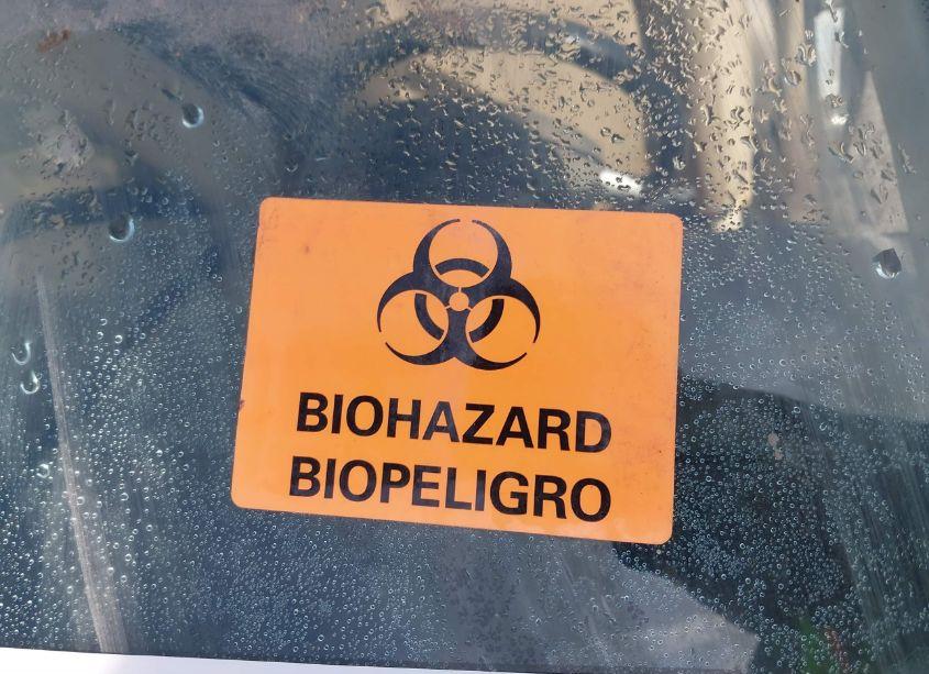 Photo 6 of 2000 Volkswagen New BEETLE GLX (VIN 3VWDD21C4YM443199)