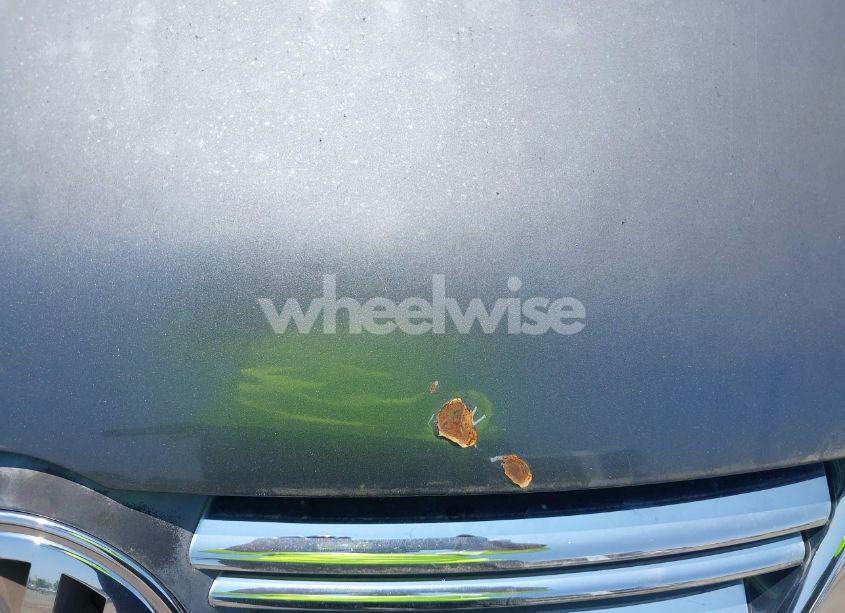 Photo 6 of 2007 Volkswagen Jetta WOLFSBURG EDITION (VIN 3VWEF71K27M078149)