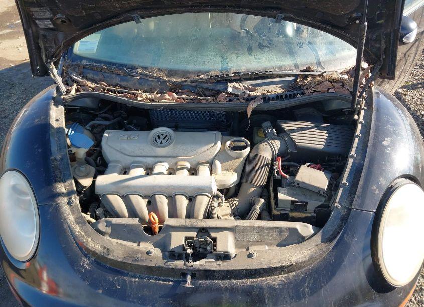 Photo 10 of 2007 Volkswagen New BEETLE 2.5 (VIN 3VWEG31CX7M508542)