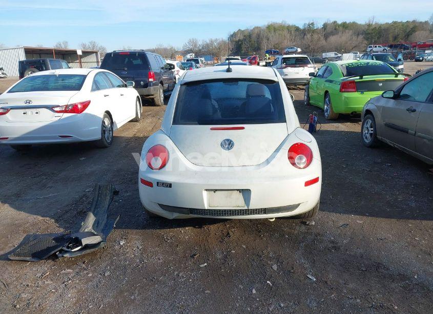 Photo 16 of 2008 Volkswagen New BEETLE BLACK TIE EDITION/TRIPLE WHITE (VIN 3VWFW31C88M515319)
