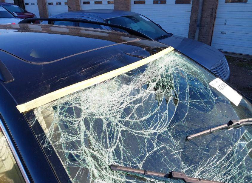 Photo 12 of 2013 Volkswagen Jetta SPORTWAGEN 2.0L TDI (VIN 3VWPL7AJ8DM692319)