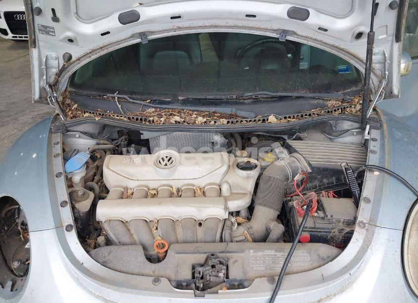 Photo 10 of 2009 Volkswagen New BEETLE 2.5L (VIN 3VWPW31C19M511893)