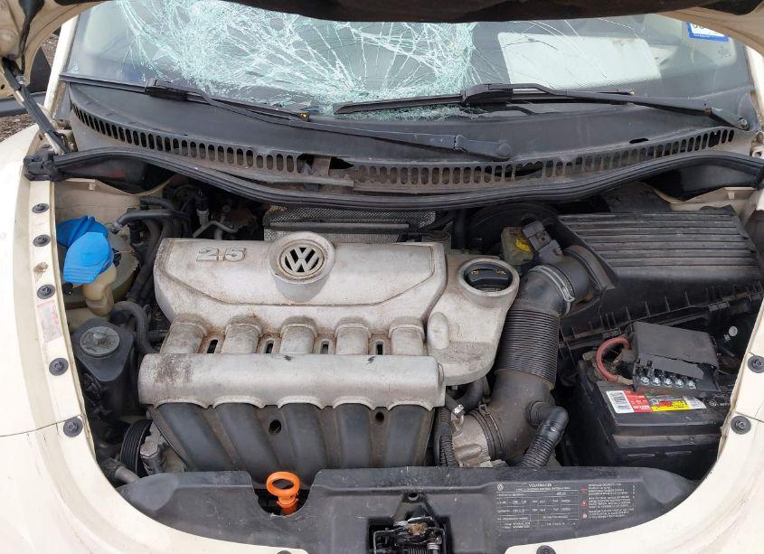 Photo 10 of 2009 Volkswagen New BEETLE 2.5L (VIN 3VWPW31C39M501561)