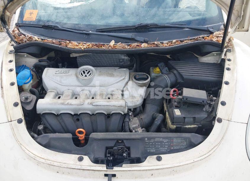 Photo 10 of 2009 Volkswagen New BEETLE 2.5L (VIN 3VWRF31Y49M400081)