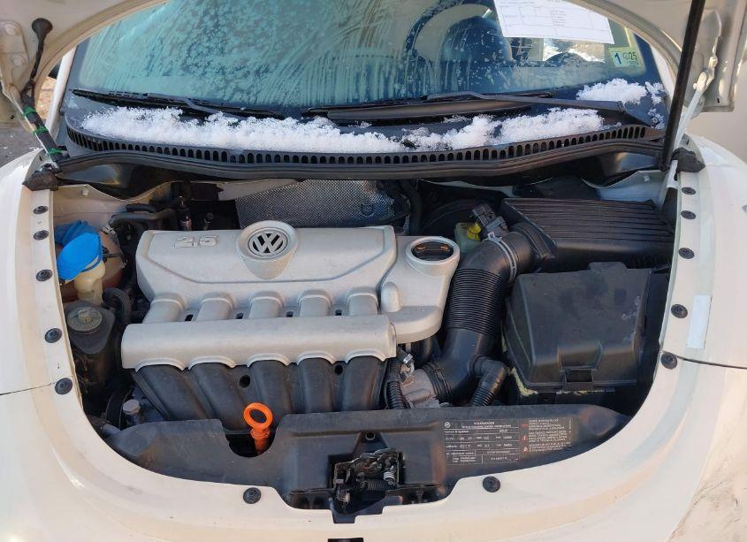Photo 10 of 2009 Volkswagen New BEETLE 2.5L (VIN 3VWRW31C99M517076)