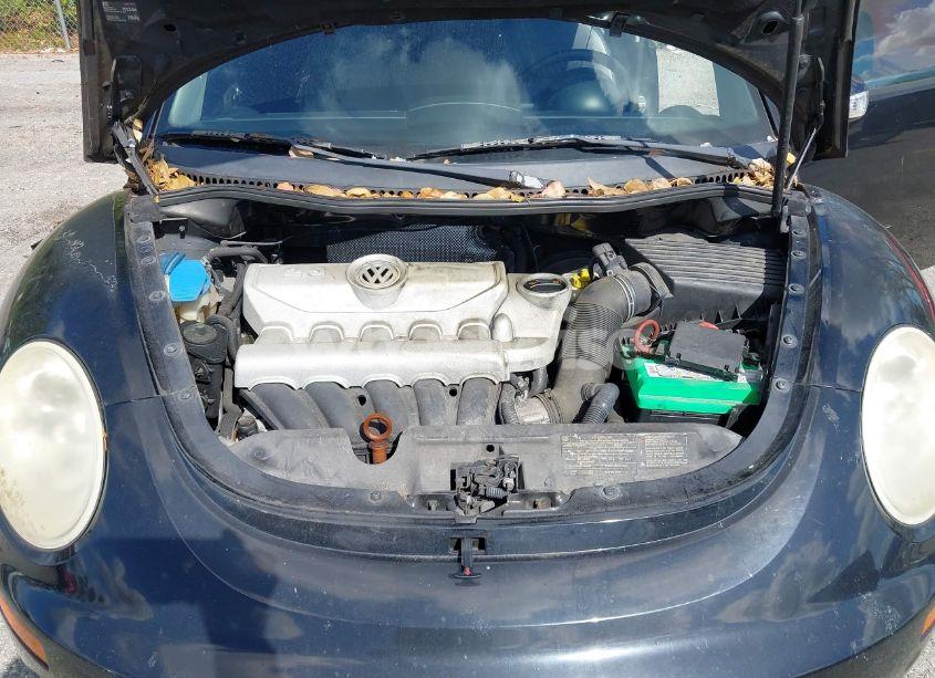 Photo 10 of 2010 Volkswagen New BEETLE 2.5L (VIN 3VWRW3AG0AM023034)