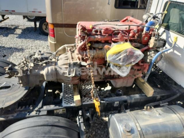 Photo 6 of 2019 KENWORTH T800 SEMI TRUCK (VIN 3WKDD49X5KF292179)