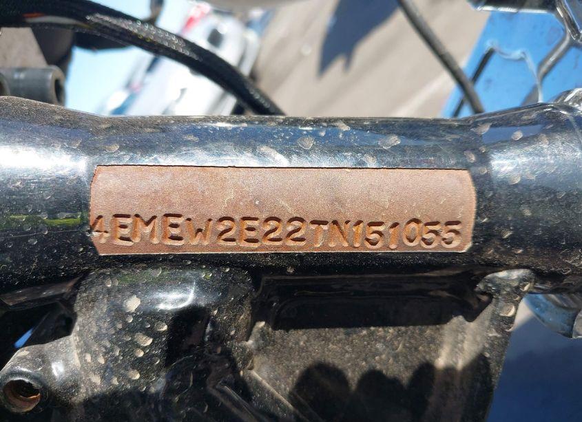 Photo 10 of 1996 Hrly Dvdsn FXSTC (VIN 4EMEW2E22TN151055)