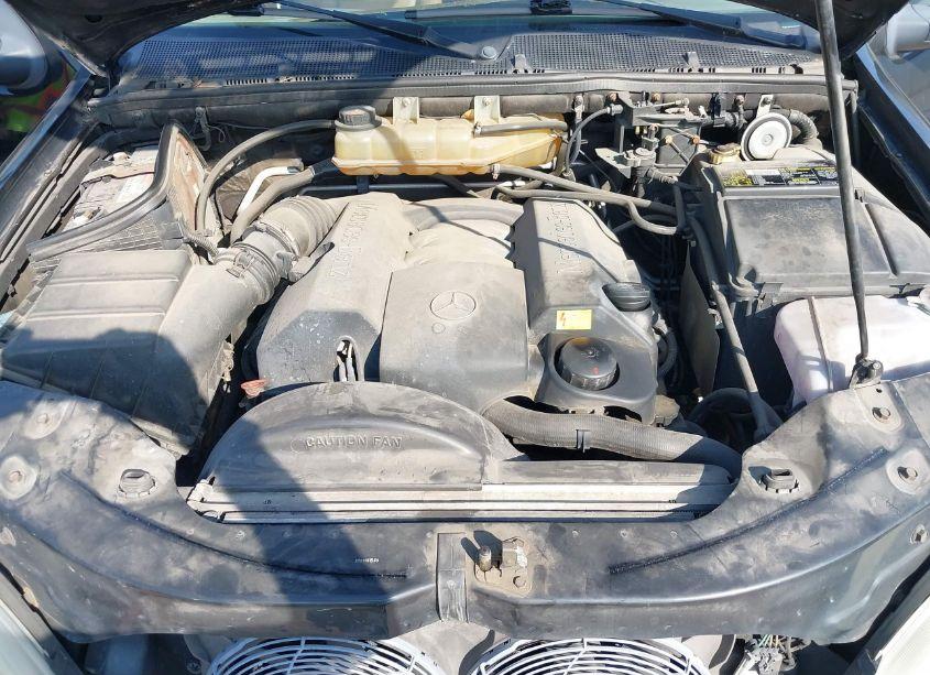 Photo 10 of 1999 Mercedes-benz Ml 320 (VIN 4JGAB54E0XA090218)