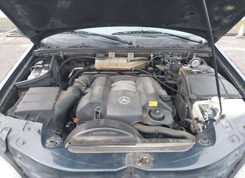 Photo 10 of 1999 Mercedes-benz Ml 320 (VIN 4JGAB54E0XA115909)
