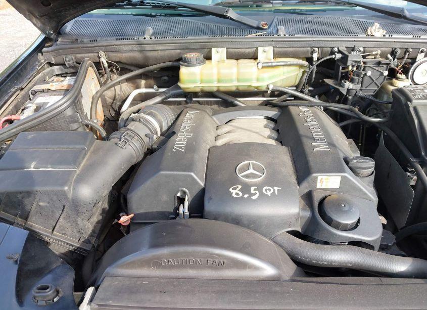 Photo 10 of 1999 Mercedes-benz Ml 320 (VIN 4JGAB54E5XA143074)