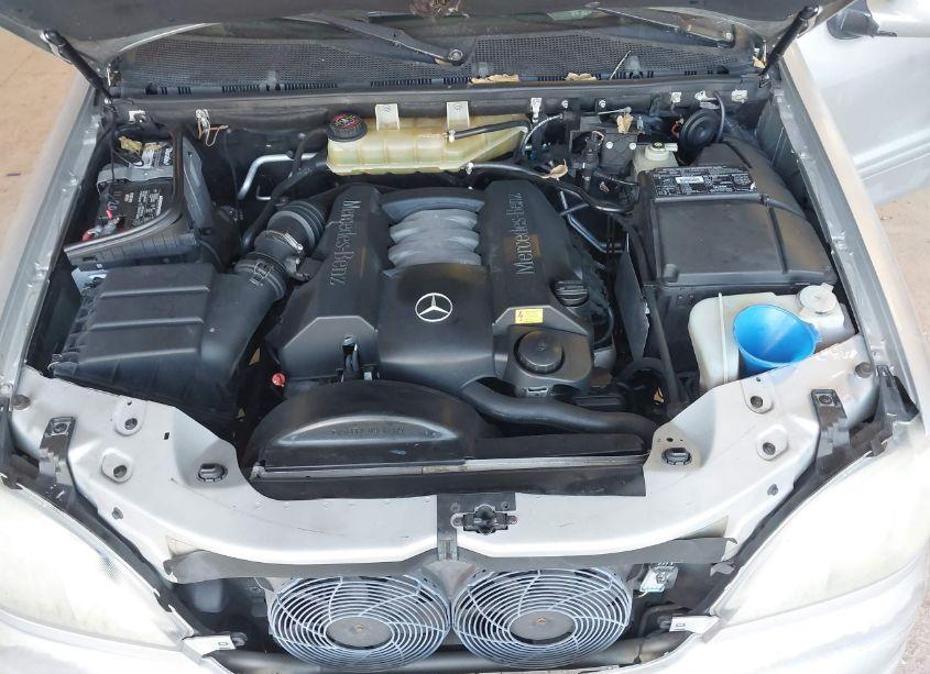 Photo 10 of 2000 Mercedes-benz Ml 320 (VIN 4JGAB54E5YA162306)