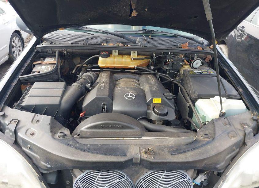 Photo 10 of 1998 Mercedes-benz Ml 320 CLASSIC (VIN 4JGAB54E6WA033696)