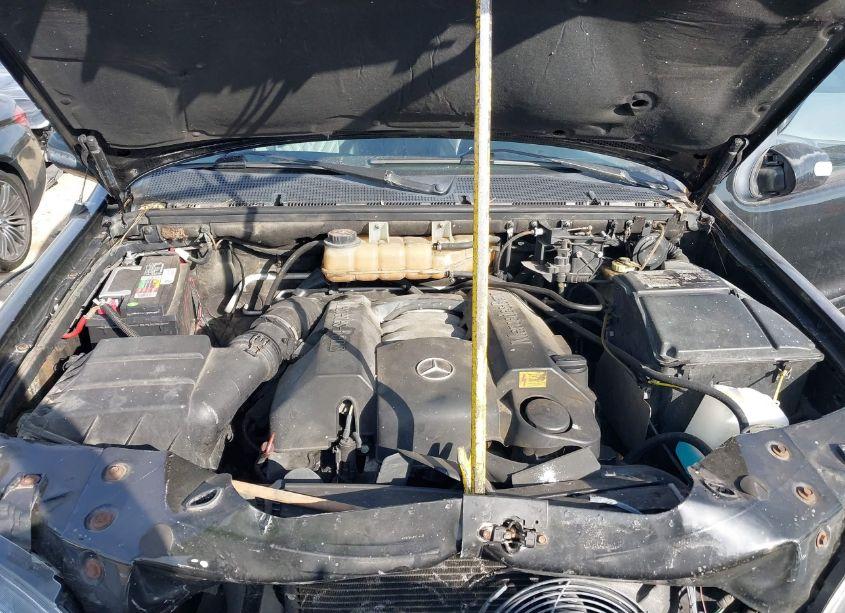 Photo 10 of 2003 Mercedes-benz Ml 350 (VIN 4JGAB57E43A409531)