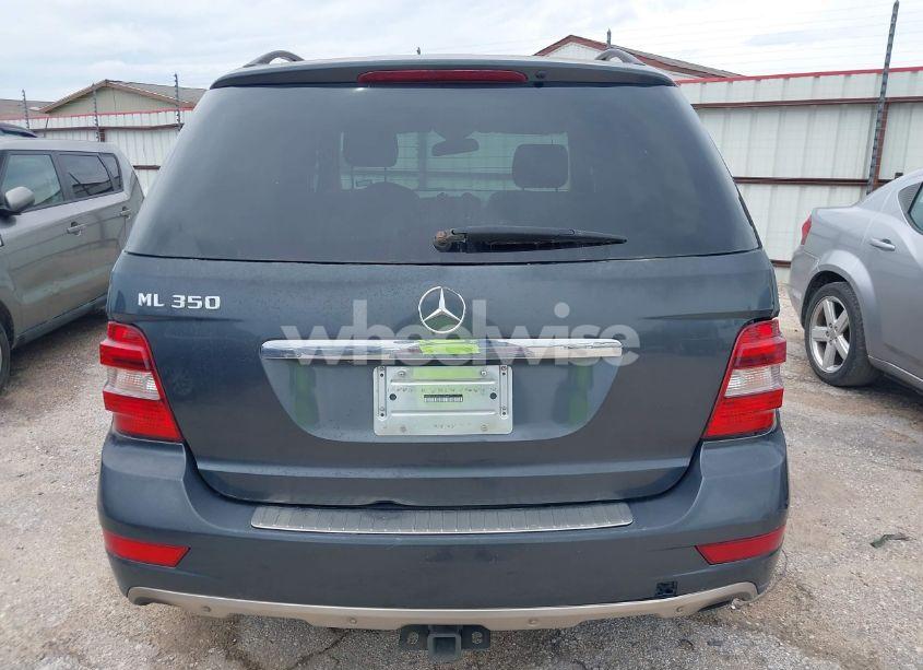 Photo 14 of 2010 Mercedes-benz Ml 350 (VIN 4JGBB5GB5AA561566)