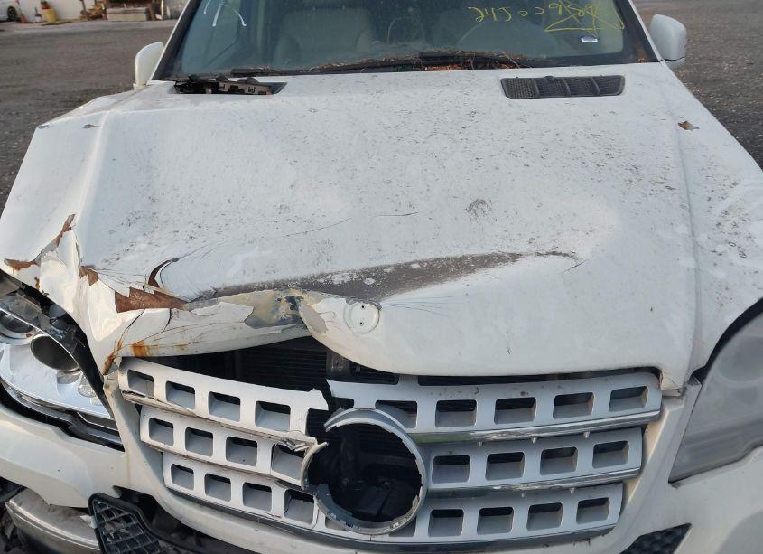 Photo 10 of 2011 Mercedes-benz Ml 350 (VIN 4JGBB5GB8BA671108)