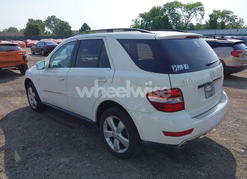 Photo 3 of 2011 Mercedes-benz Ml 350 4MATIC (VIN 4JGBB8GB5BA646071)
