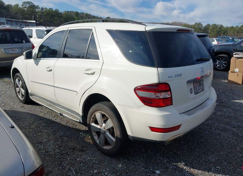 Photo 3 of 2011 Mercedes-benz Ml 350 4MATIC (VIN 4JGBB8GB5BA671956)